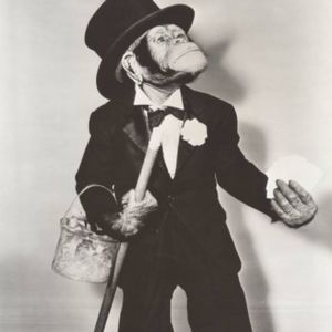 Meet your Posher, Robert